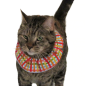 Preview: Birdsbesafe® Katzen-Halskrause Crayon